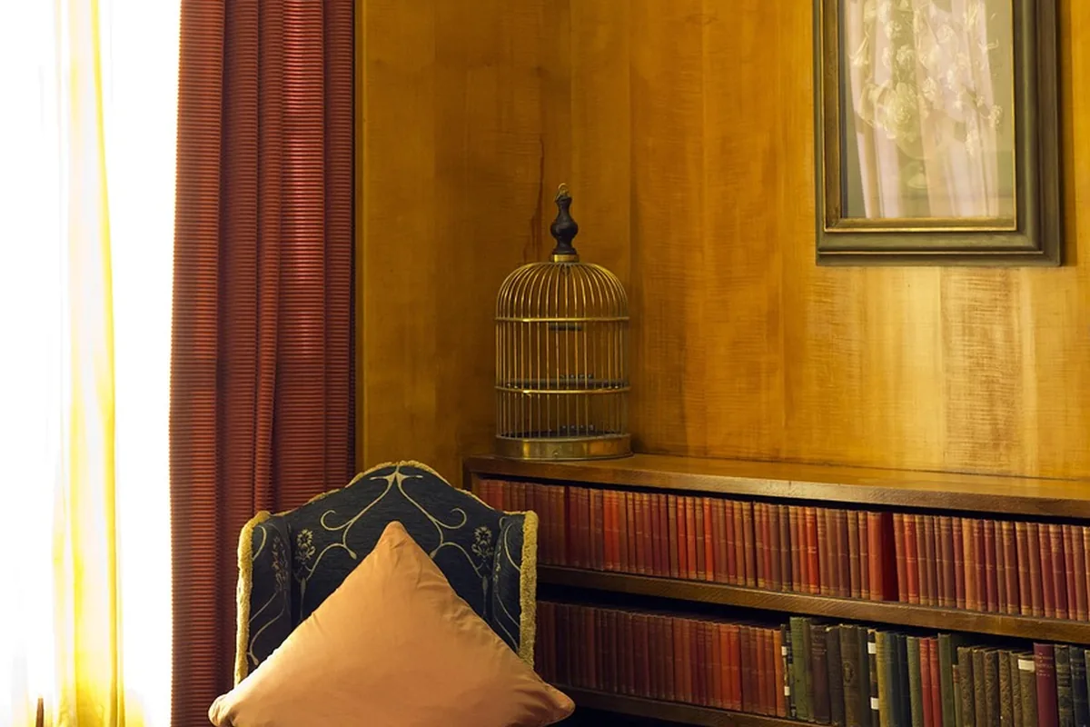A Pet Parrot perched and alert