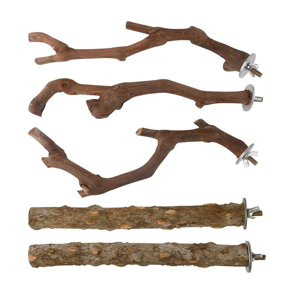 Foot Health Matters: Choosing the Right Perches for Your Parrot