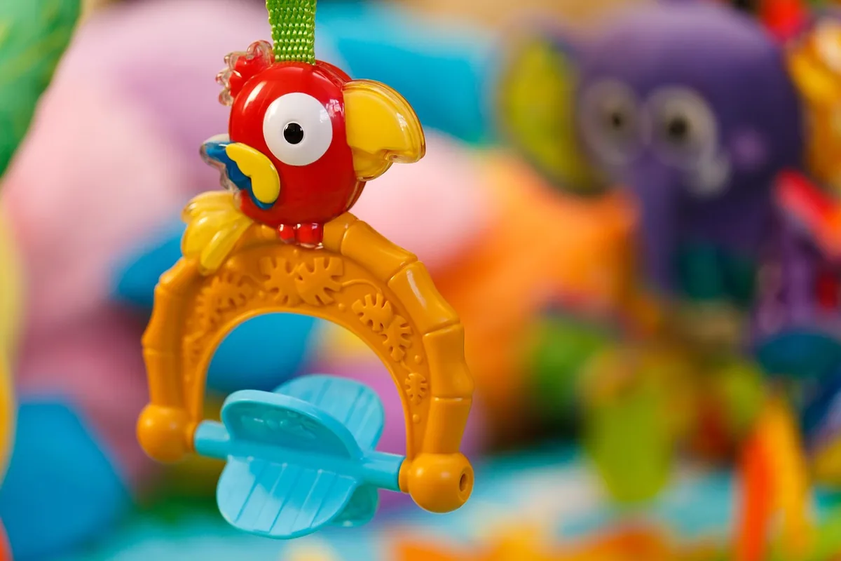 A Pet Parrot playing with a toy