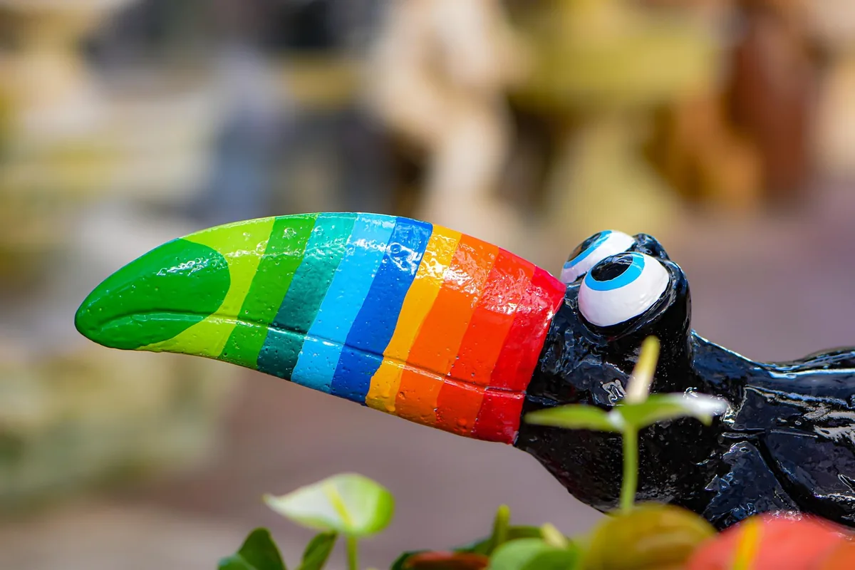 A Pet Parrot playing with a toy
